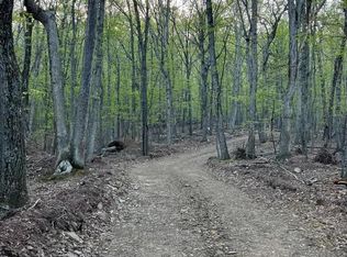 Milo School Rd LOT B, Great Cacapon, WV 25422