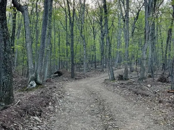 Milo School Rd Lot B, Great Cacapon, WV 25422