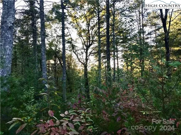 1211 Winding Creek Way, Lenoir, NC 28645