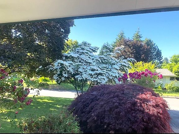 View from Living Room