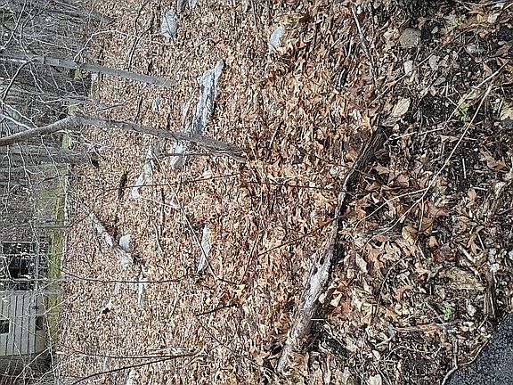3rd image of 66 Kings Hwy