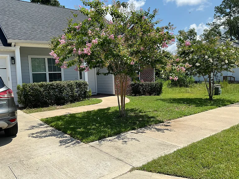 1567 Cherry Blossom Cir — Photo 3