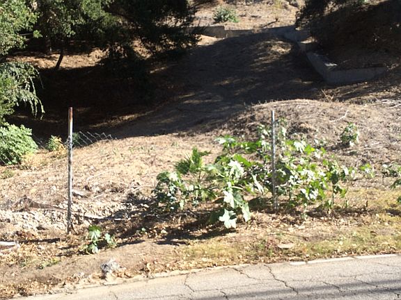 2nd image of 4260 Canoga Ave