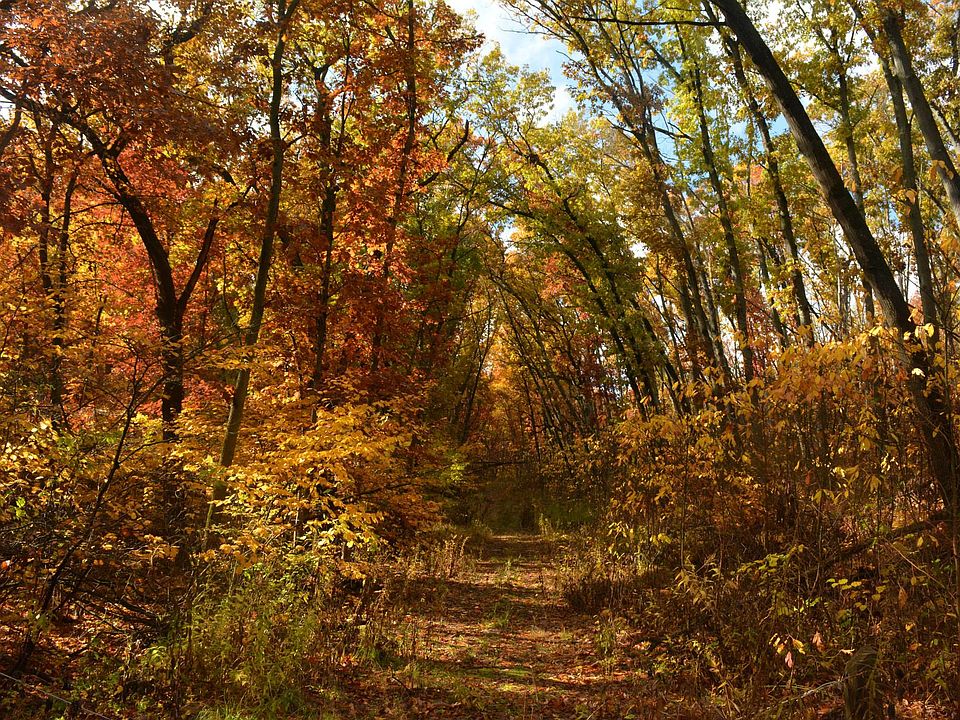wooded trails nearby