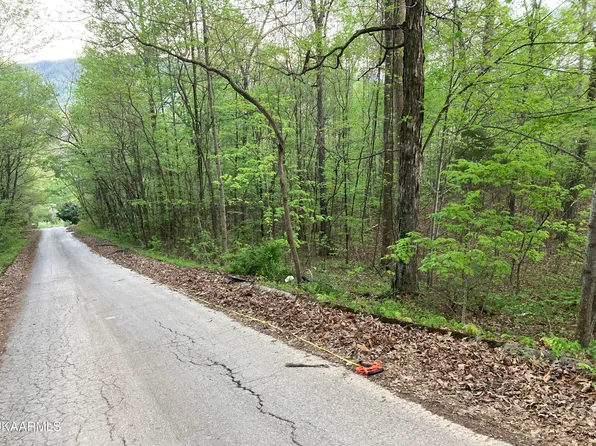 Duke Ln, Luttrell, TN 37779