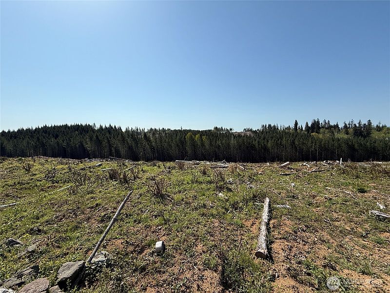 5th image of 7 xx Centralia Alpha Road