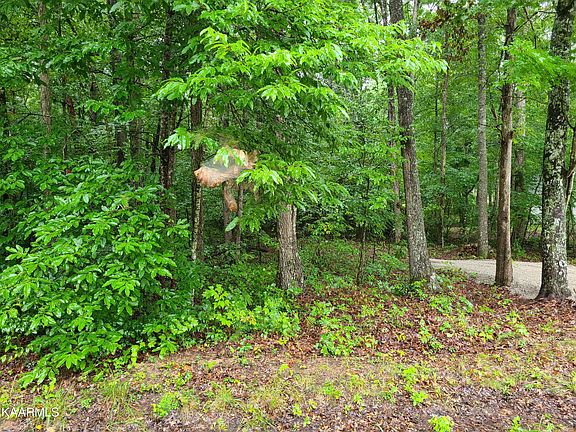 3rd image of Trimmer Lane Lot 12 Ln