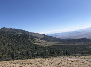 Spruce Mountain Rd, Wells, NV 89835