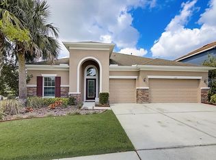 11321 Scribner Station Ln, Lithia, FL 33547