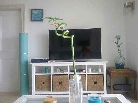3rd image of 2910 Point East Dr APT M602
