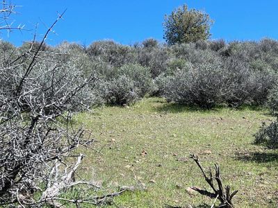 Blue Gill Dr Unit 4, Hornbrook, CA, 96044