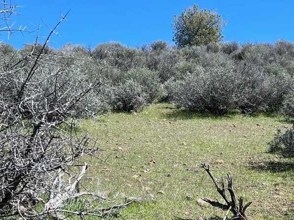 Blue Gill Dr Unit 4, Hornbrook, CA 96044