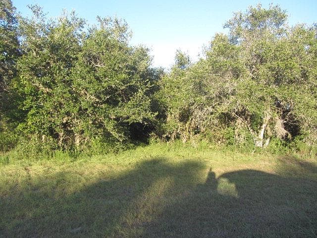 1st image of 23 Pura Vida