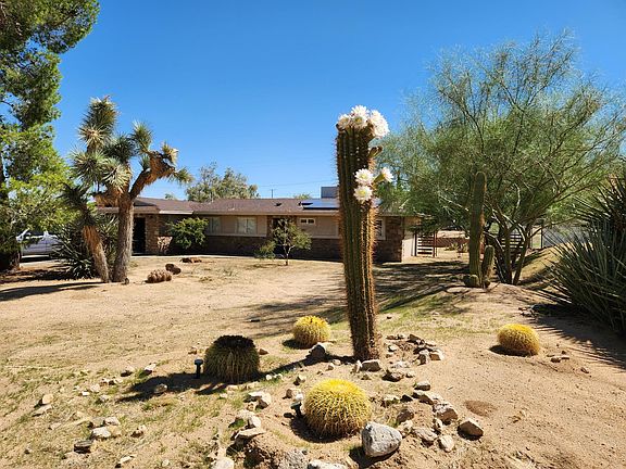 Front yard with mature cacti, palos verdes, pine, Joshua trees