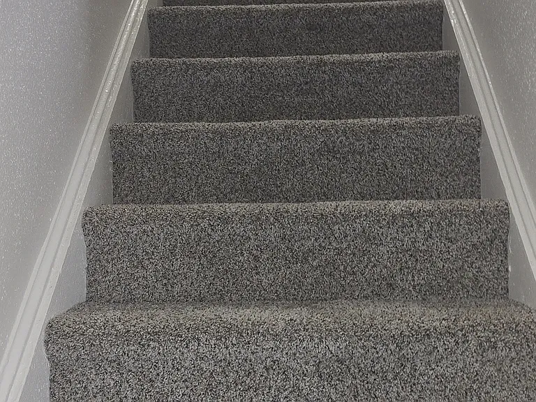 2401 Shamrock Garden Ct #2504 — Photo 13