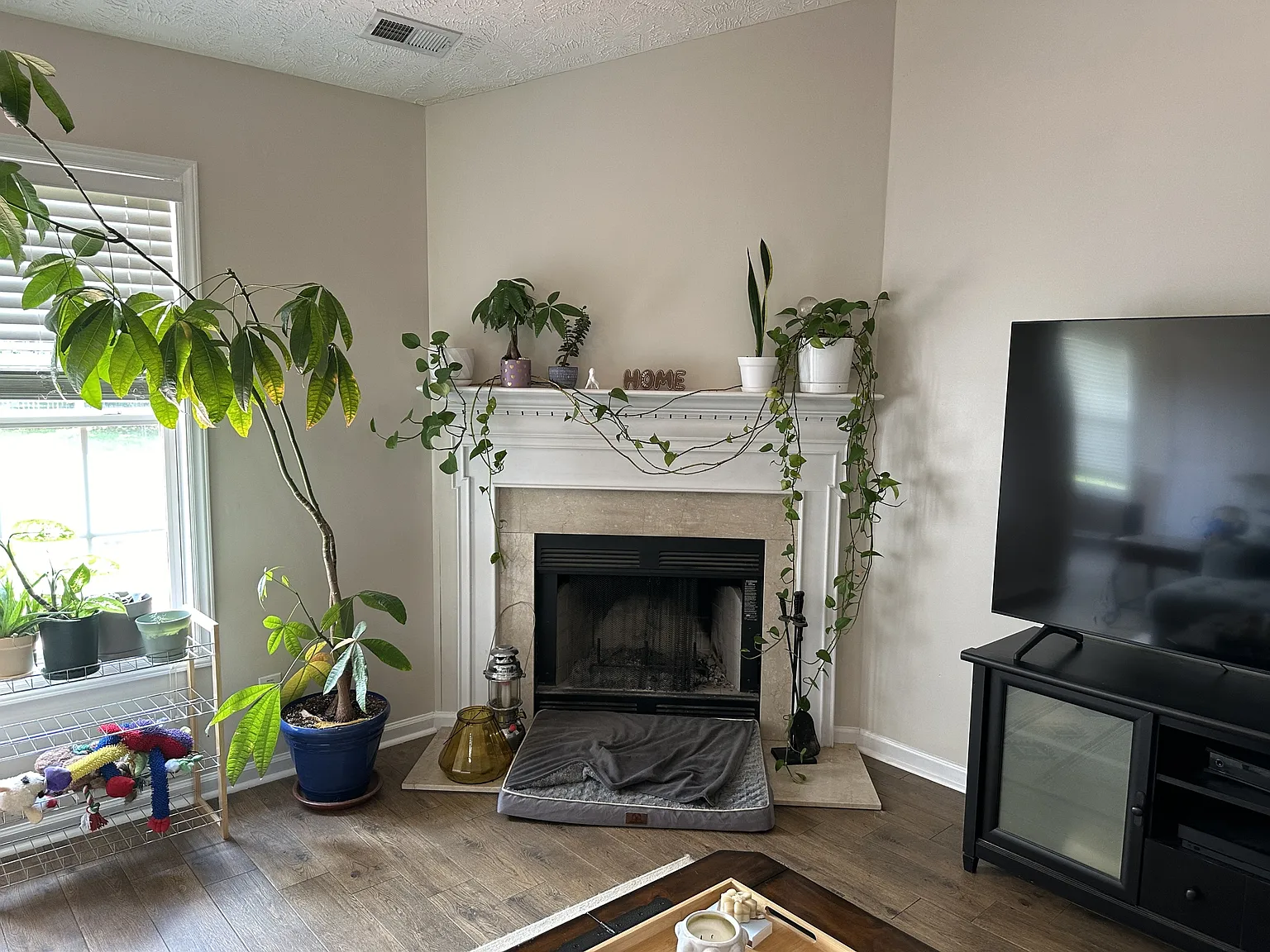 590 Americana Drive - 1 — Photo 3