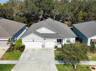 11404 Blue Woods Dr, Riverview, FL 33569