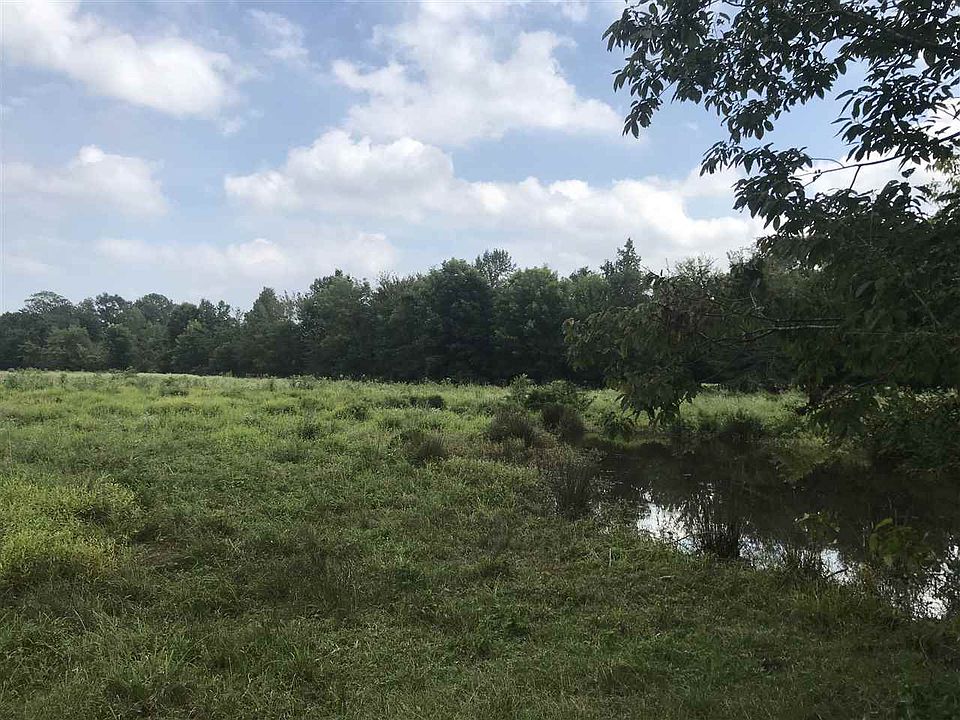 County Road 165, Long Branch, TX 75669 Zillow