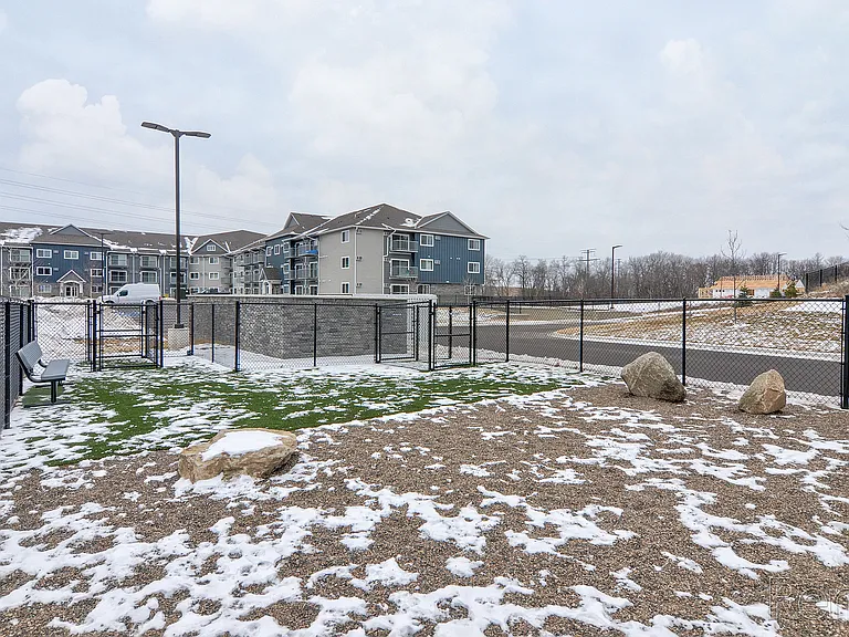 Dog Park