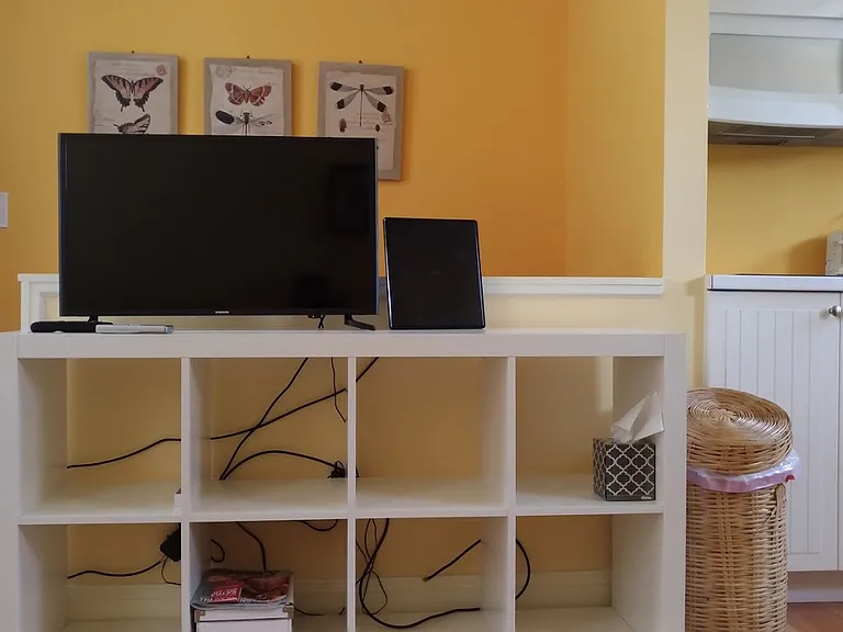 tv and storage unt