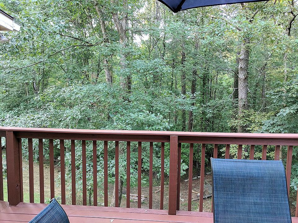 view into wood lot