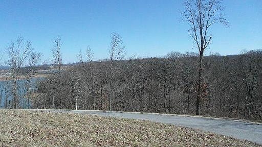 Image 1: Primary Photo