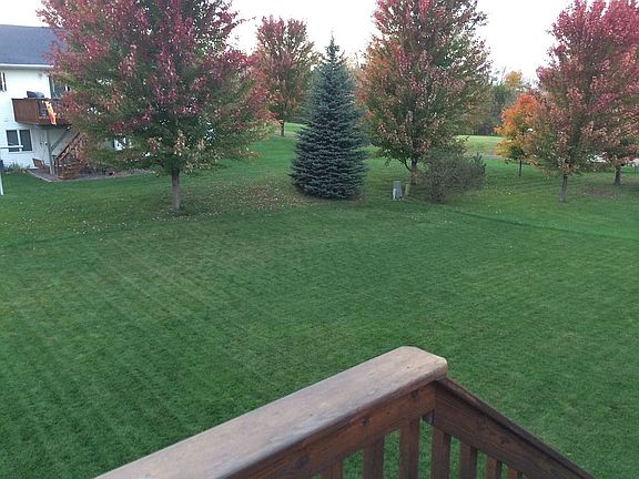 View off our deck-backyard