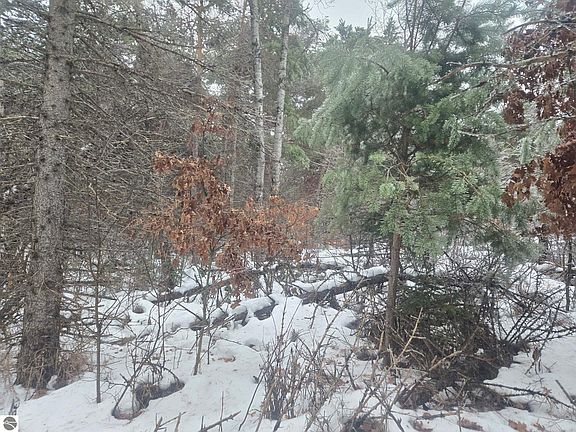 4th image of 0 S Dickerson Rd