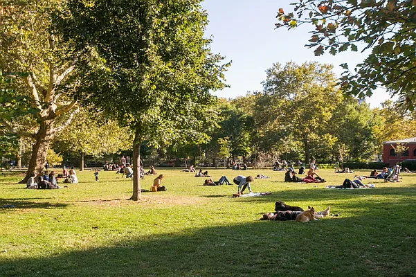 Rented by MNS | media 43