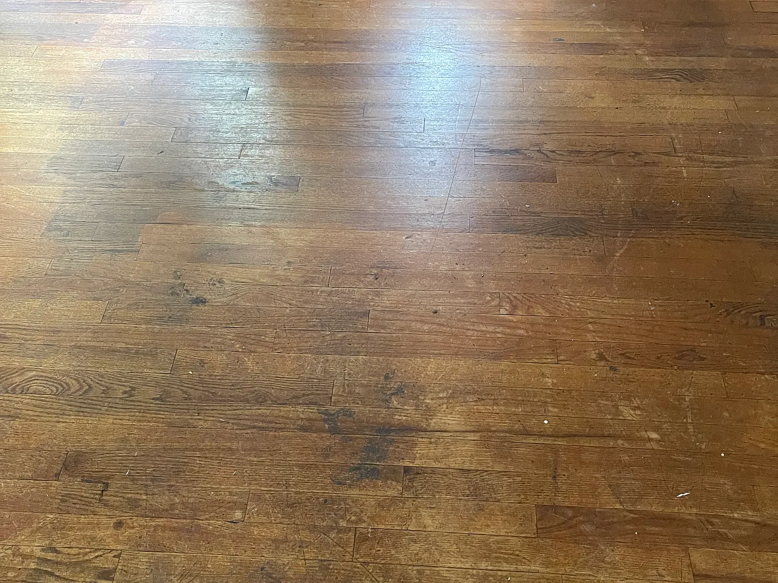 8717 W Hampton Ave — Photo 3