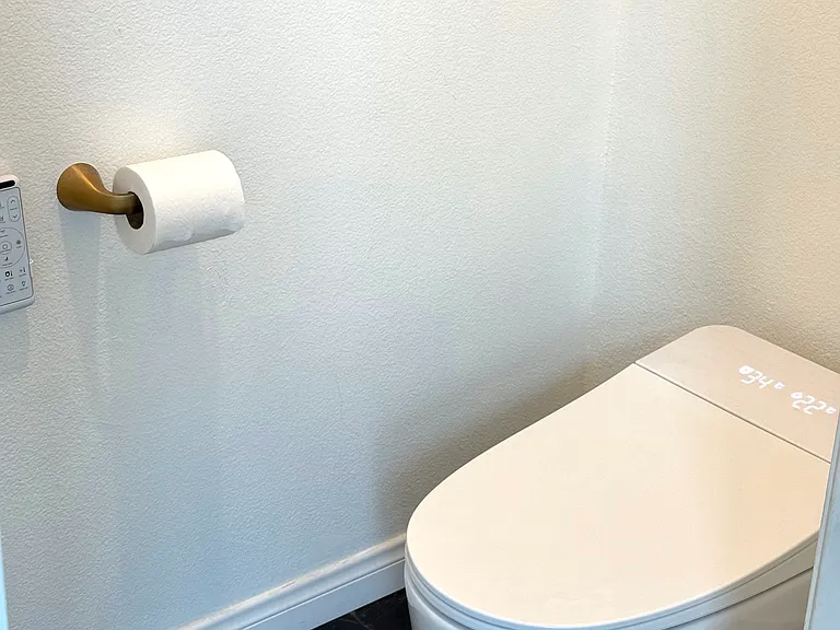 Master bathroom. Smart toilet.