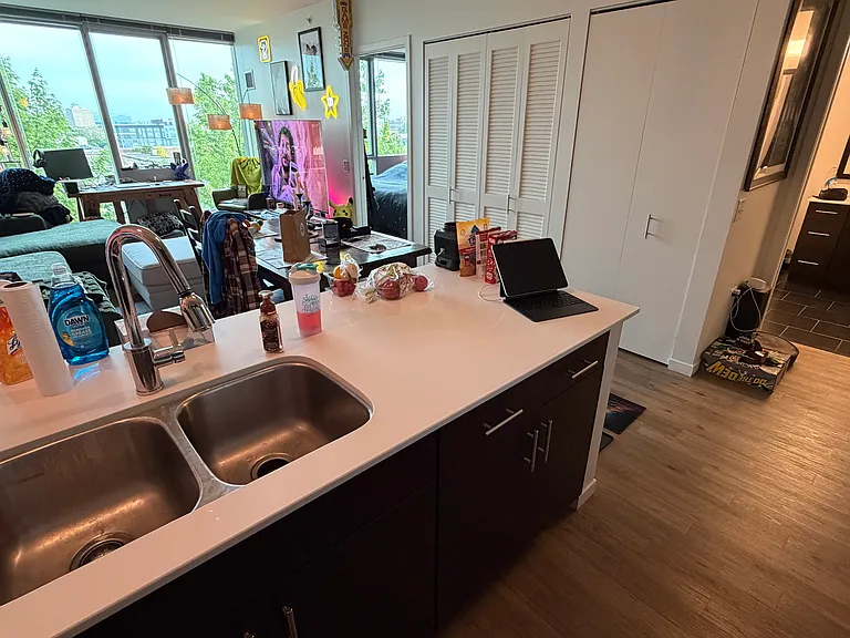 3741 N Halsted St #813 — Photo 6