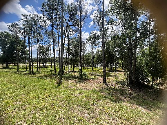 5th image of 17850 Keene Rd Lot 3