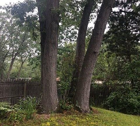 4th image of 854 Indian Trail Blvd