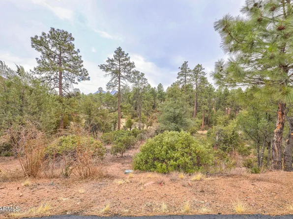 505 N Grapevine Drive #434, Payson, AZ 85541