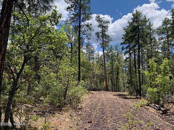 4th image of 1400 W Manzanita Trl