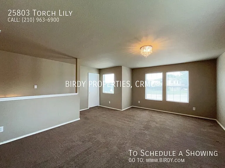 25803 Torch Lily — Photo 25