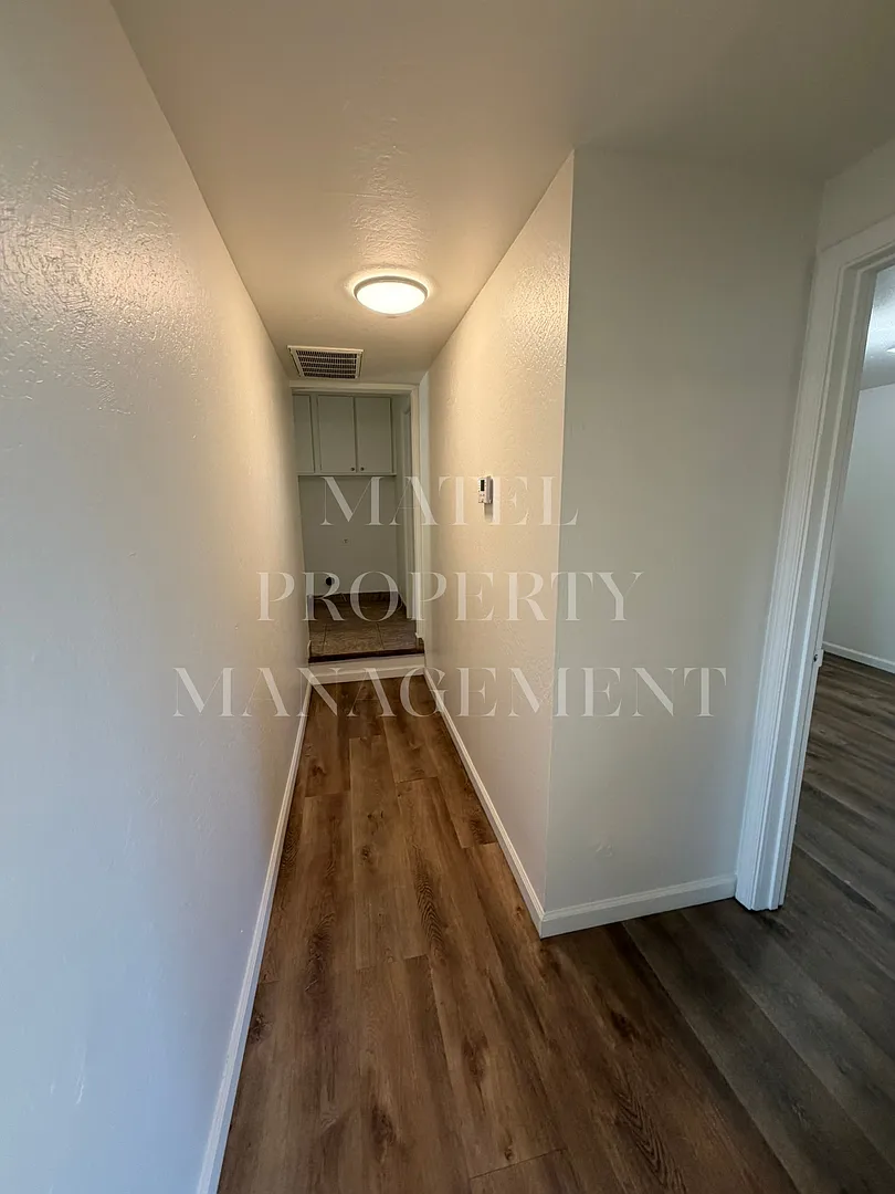 FIF225 — Photo 4