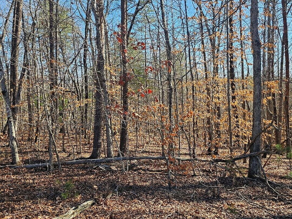 2nd image of TRACT 4B Red Oak Rd