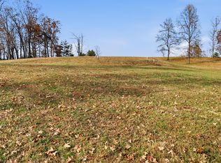 150 Quail Hollow Cv, Spring City, TN 37381