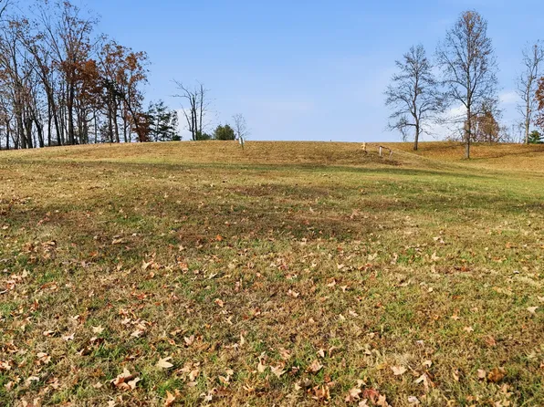 150 Quail Hollow Cv, Spring City, TN 37381