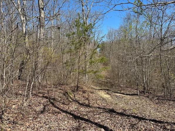 11.3 Woods Rd, Altamont, TN 37301