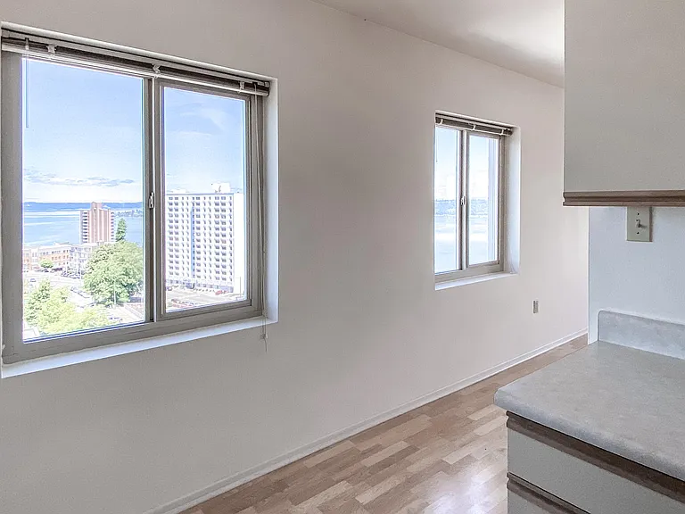 Park Tower Apartments — Photo 105