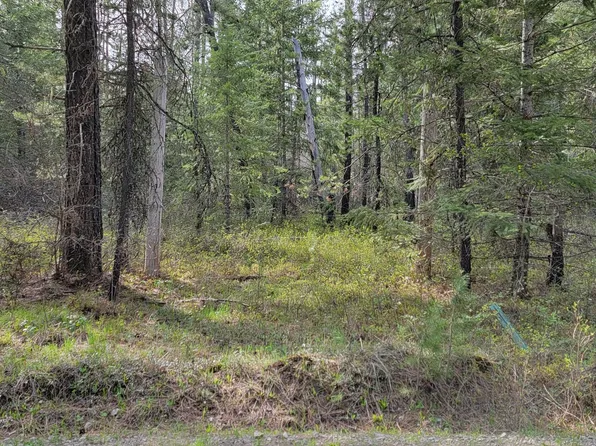 1395 Estates Loop, Priest River, ID 83856