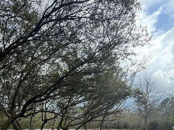 2nd image of 228 BROWNS HAMMOCK Road