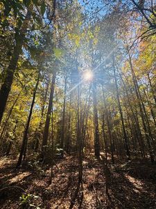 Tdb Cres #3673, Queen City, TX, 75572