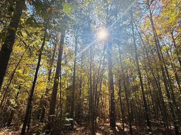 Tdb Cres #3673, Queen City, TX 75572