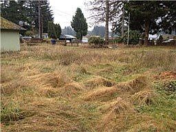 1st image of 1117 129th Pl NW