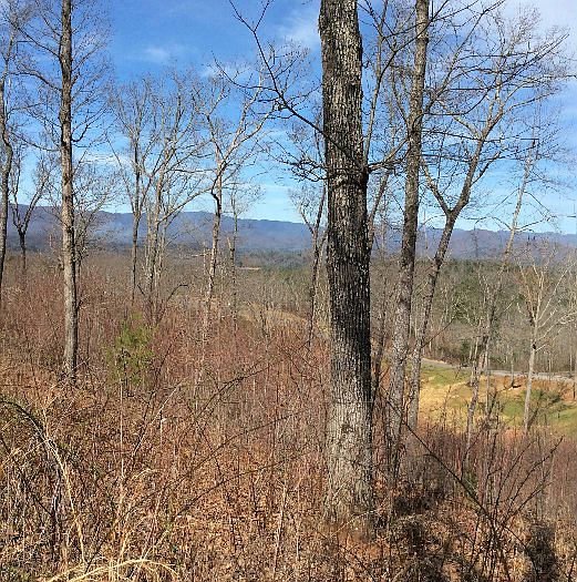 1st image of LOT 36 Hideaway Ln