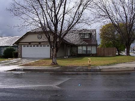 Winter View / Big Summer shades